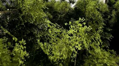 Sexy Butchers Delicious Meat Slaughterhouse Adventure