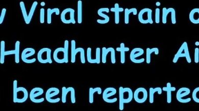 My Pet Jaguar (2023 Compilation)