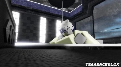 Taken By The Tide: Shark Meets Prey