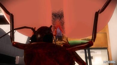 Baby-Making Love: The Maternity