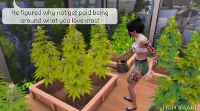 Flying High in the Skies of Love: A Hentai Adventure with the In-Laws