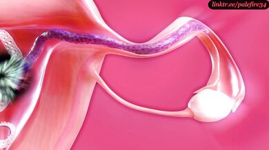 Tifas Tentacled Conquest: A Hentai X-Ray Porn!