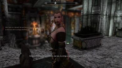 The Thalmor Officer and the Nord: An Unlikely Union
