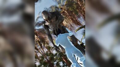 One Night with Cortana: The Weapon PMV/HMV