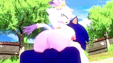 Sonic and Blaze in the Fiery Heat, Screaming Their Desires