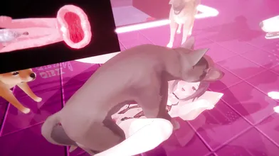 Miho Bestiality Azur Lane - No Dance (Hentai Porn)
