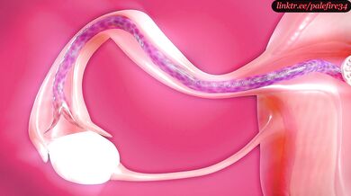 Tifa Lockharts Cum-filled Womb: An X-Ray Tentacle Hentai