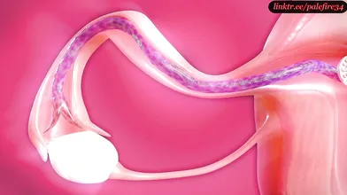 Tifa Lockharts Cum-filled Womb: An X-Ray Tentacle Hentai