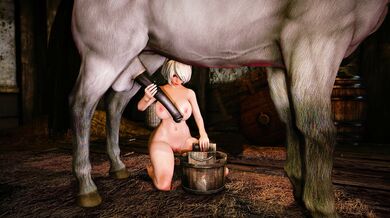 One Horses Service to Two Ladies: A High Quality 4K Porn Video