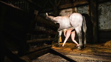 One Horses Service to Two Ladies: A High Quality 4K Porn Video