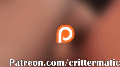 The Hentai Claw: A Tale of Bestiality with a Twist!