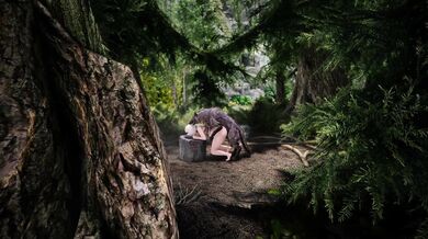 One Night with the Werewolf