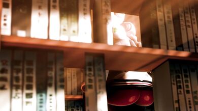 Bedroom Business Bliss [AmateurThrowaway]