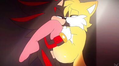 Sonic the Hedgehogs Gay Adventure: Back and Forth in PMV Land