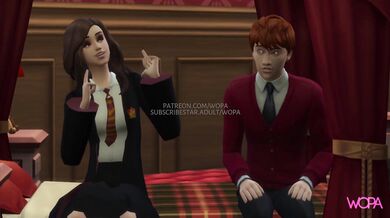 Bloodstained Love: Draco and Hermiones Secret Erotica