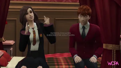 Bloodstained Love: Draco and Hermiones Secret Erotica
