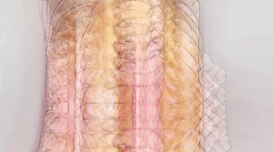 Juicy Hotties in Tiny Bikinis