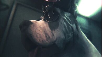 Knitting for Kinky Canines - Pretty Bonds, Tight Collars