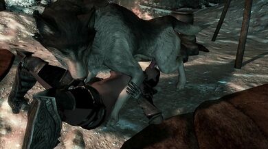 Campfire Sex in the Great Outdoors with Aura