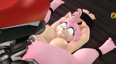 Trouble for Amy and Rouge