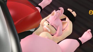 Trouble for Amy and Rouge
