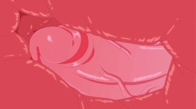 Sakusa, Kiyoomi, and Atsumu collide in the XXX Miya Full Body Collapse Hentai