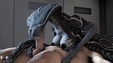 Reworded as: The Bassist Scripts: Subscribers Favorite Furry Animation Compendium