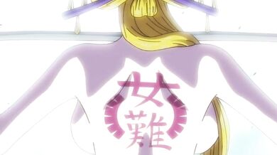 The secret treasure of Nico's asses