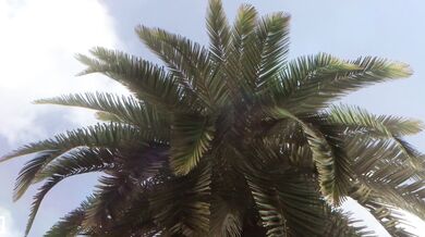 Full of Sound Fucking Overfeeling! (1080p) - The Hentai Experience of Fennochick