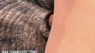 Rewritten as: Blues Winter Mating Spree