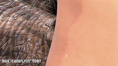 Rewritten as: Blues Winter Mating Spree