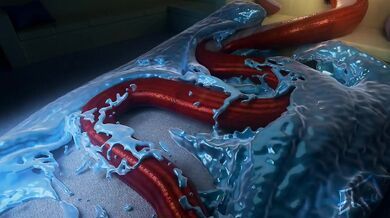 Give in to Suus Love Trap: The Ultimate Seduction