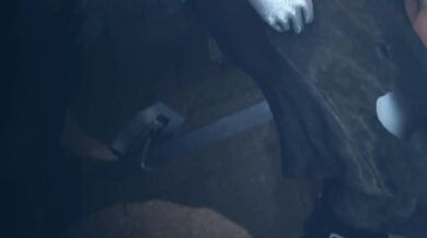 The Evil Master, a resident of the Opium Den, forces his new submissive to endure another day of pain and humiliation, in a Spanish language film