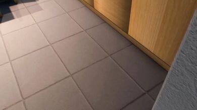 The first male Christmas present thief (BR)