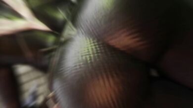 'The Blacked Cat: Felicia Hardy's HMV Debut'