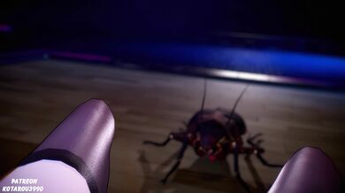 "Wet and Wild with Robin and Bugs: The Seggy Adventure"