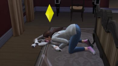 "Wicked Olivia and her Sexual Encounter with a Mighty Wolfhound"