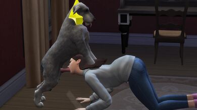 "Wicked Olivia and her Sexual Encounter with a Mighty Wolfhound"