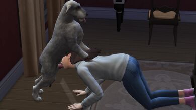 "Wicked Olivia and her Sexual Encounter with a Mighty Wolfhound"