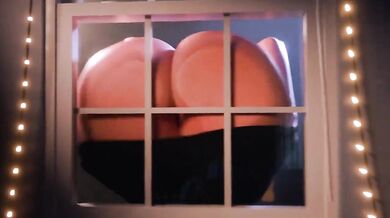 'Night of the Attacking Vixens'