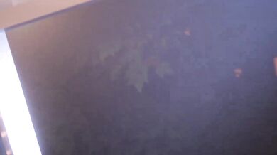 'Night of the Attacking Vixens'