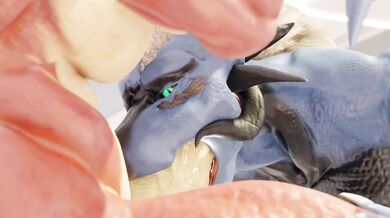 Double Dragon Double - The Forbidden Video