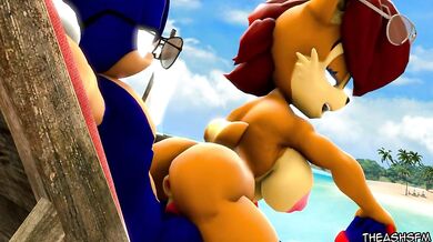 Sonic the Hedgehog and Sally Acorns Steamy Summer Afternoon: An Animated NSFW SMF