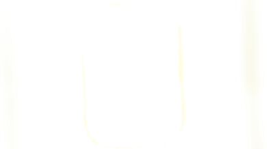 Master and Slave: The Art of Bondage and Control