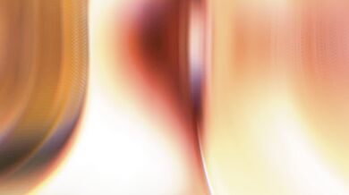 Dangerous Lust of the Agapillord, Hentai Music Video