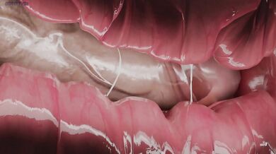 Unveiled: The Naked Reporter