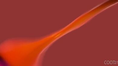 Futa Neeko and Caitlyn have a slight misunderstanding, thanks to Coot27