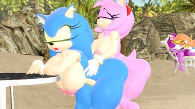 Sonic & Amy Relaxing on the Beach: A Hentai Romp in the Sand and Surf