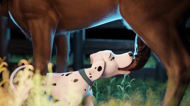 Busty Masseuse Sucks and Fucks Clients Horse Cock