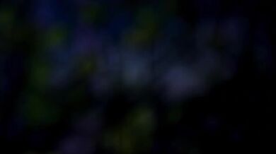 Sexy School Girl Gets Fucked in the Woods (Part 1-3)